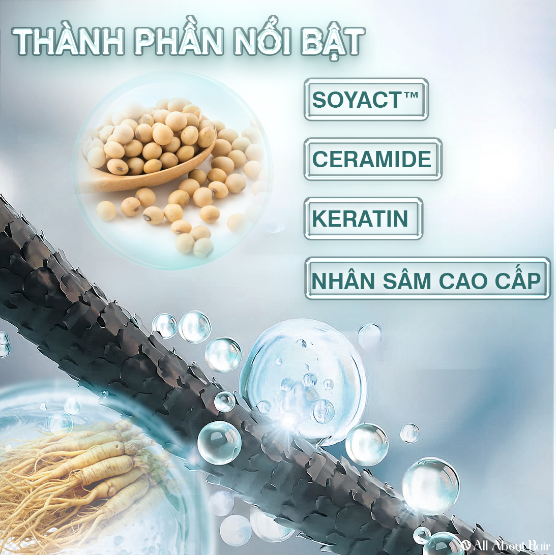 ảnh sản phẩm COMBO Dầu ủ và Dầu xả dưỡng ẩm sâu cho tóc, giúp tóc chắc khoẻ